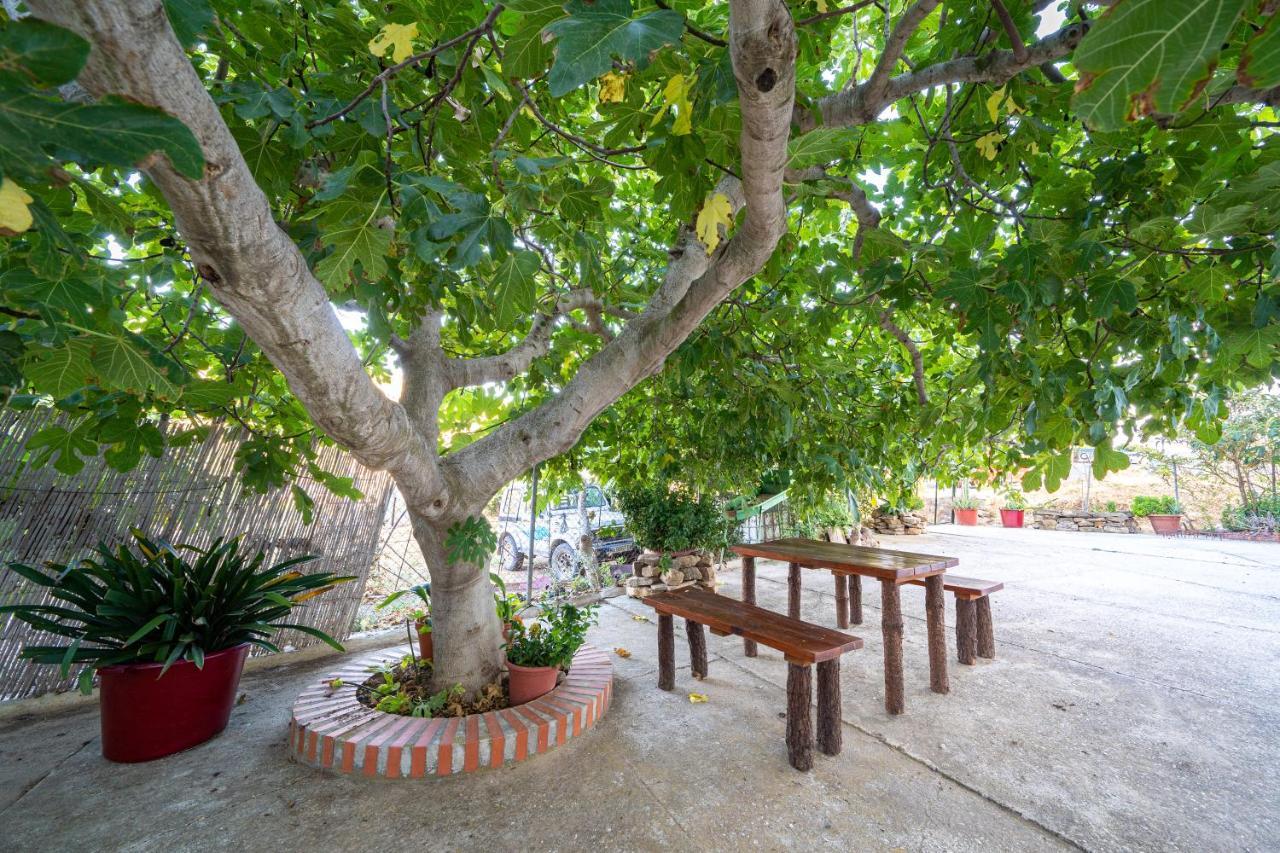 Hostal Vista A La Sierra Valle de Abdalagís Екстериор снимка