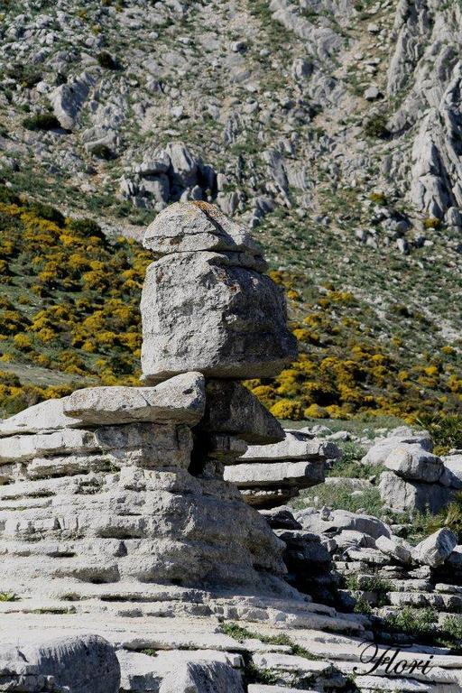 Hostal Vista A La Sierra Valle de Abdalagís Екстериор снимка